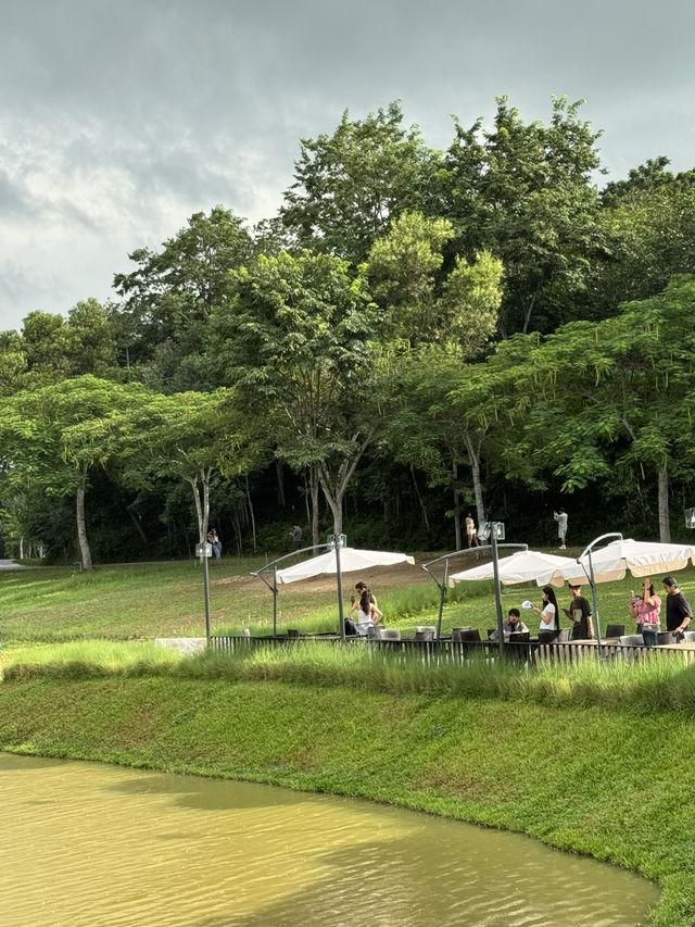 คาเฟ่กลางธรรมชาติ วิวอ่างเก็บน้ำ ที่กาปี้ป่าร่า ชล