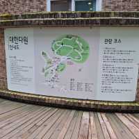 싱그러운 보성 녹차밭