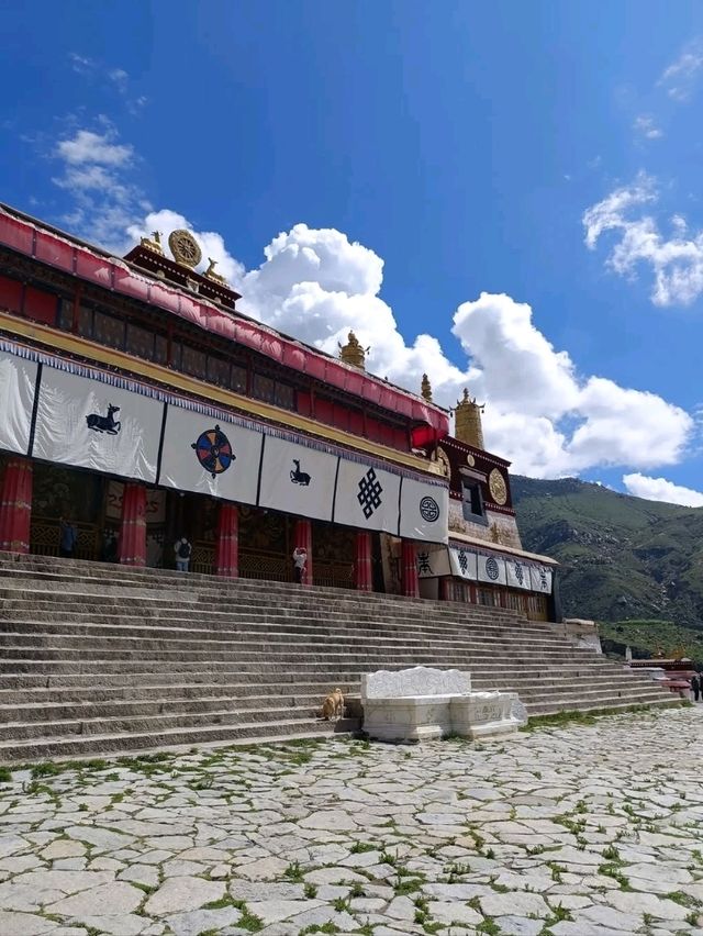Pure Energy at Jokhang Temple