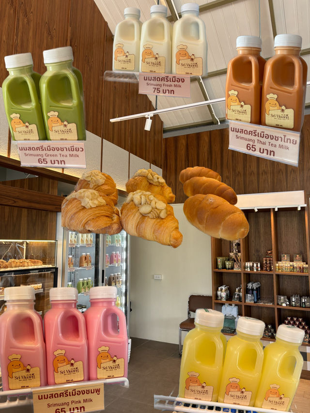 🌈🛵✨Sri muang coffee Rayong 🍯🪵🧇🍕☕️