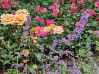 Princes Street Gardens: Edinburgh's Green Heart