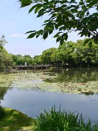 Three Pools Mirroring the Moon – West Lake’s Enchanted Island