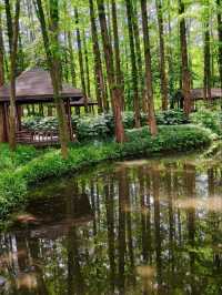 Skip the Crowds: Discover Quyuan Fenghe