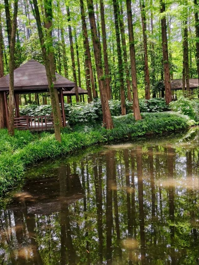 Skip the Crowds: Discover Quyuan Fenghe