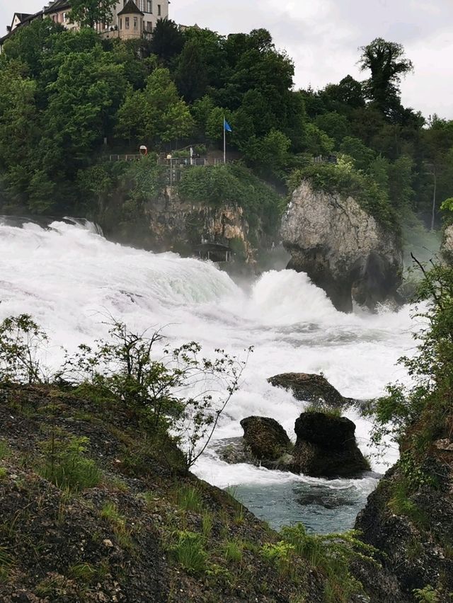🌊Unleashed at Rhine Falls