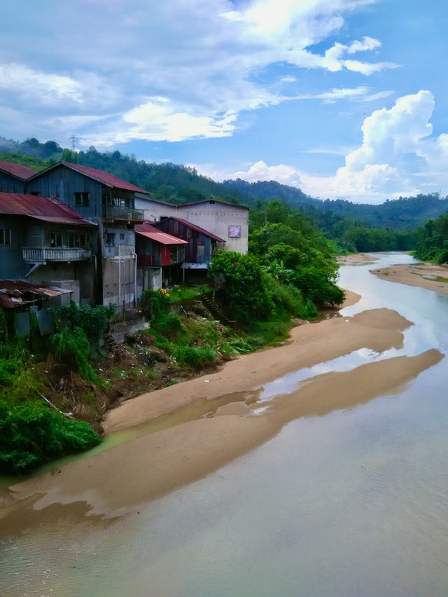 🌳 Beneath the Old Tree: The Heart of Sungai Lembing