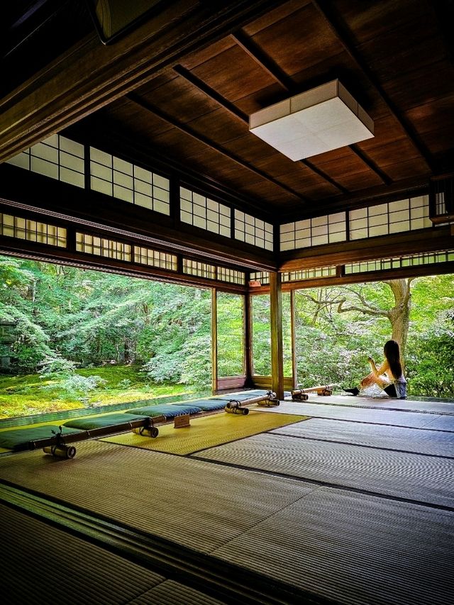 心に映る、青もみじのミラーワールド🪞🍃