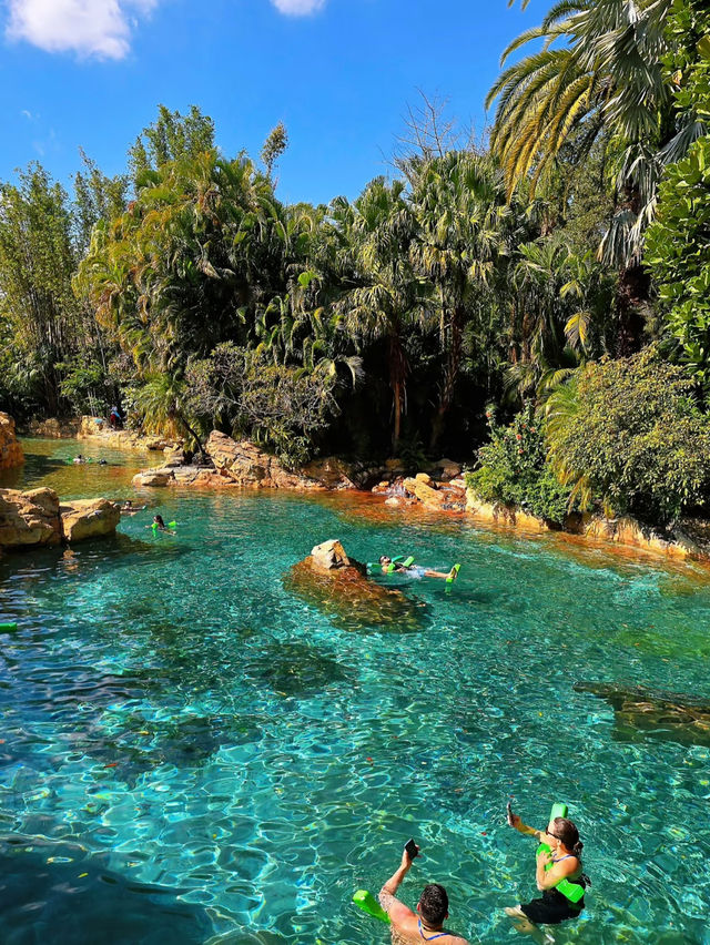 Tropical River at Discovery Cove Orlando | Lazy River Meets Luxury Spa