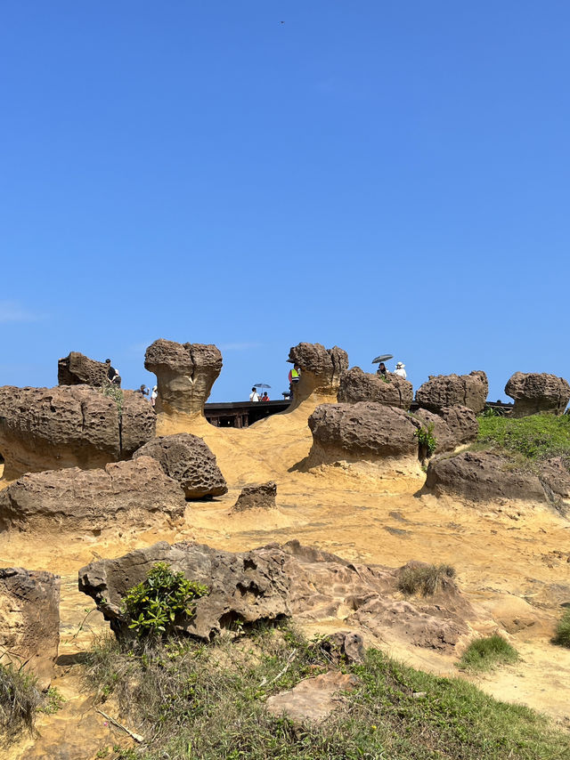 🍄Alien Landscape in Taiwan? Welcome to Yehliu's Mushroom Rocks!