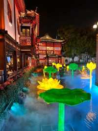 “Shanghai: Where the Sun Shines and Neon Dreams Glow”