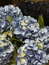 尖沙咀花系靚靚西餐廳