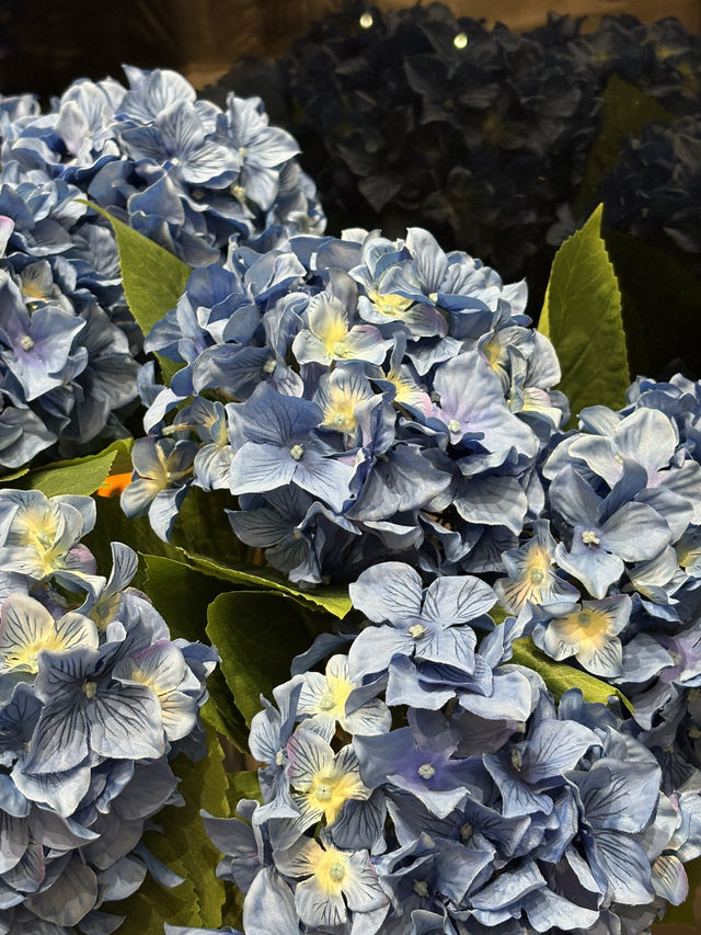 尖沙咀花系靚靚西餐廳