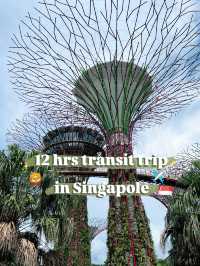 ✈️【約12時間トランジットで楽しむシンガポール半日旅🦁🛍️】
