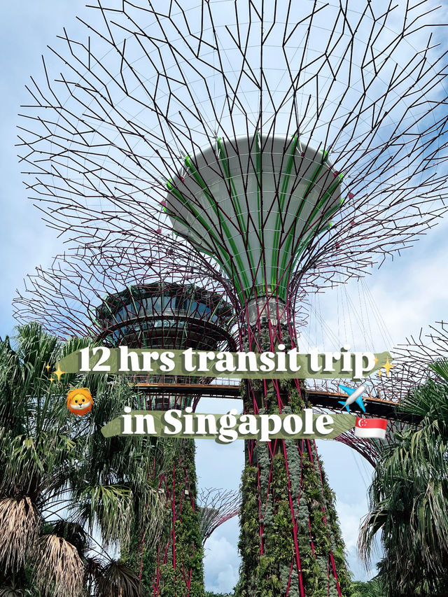 ✈️【約12時間トランジットで楽しむシンガポール半日旅🦁🛍️】