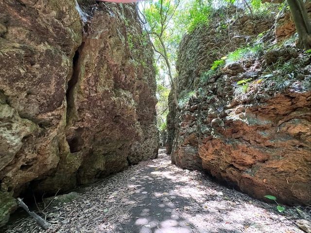 Panlong Gorge Gave Jungle Vibes and Slippery Surprises
