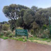 Twelve Apostles – “Ocean Majesty on the Great Ocean Road”