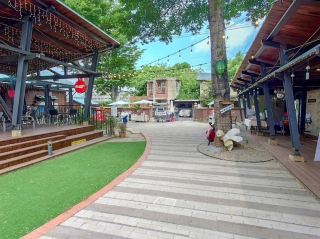 Step Back in Time at Hu Yu Locomotive Park