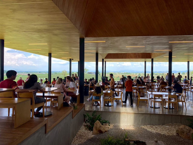 ดื่มชาร้านดัง วิวหลักล้าน“ไร่ชาฉุยฟง”