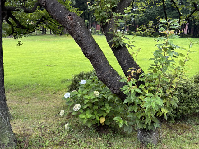 宮城峡蒸溜所與繡球花之美 宮城峡蒸溜所與繡球花之美