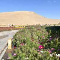 A Desert Park Like No Other 