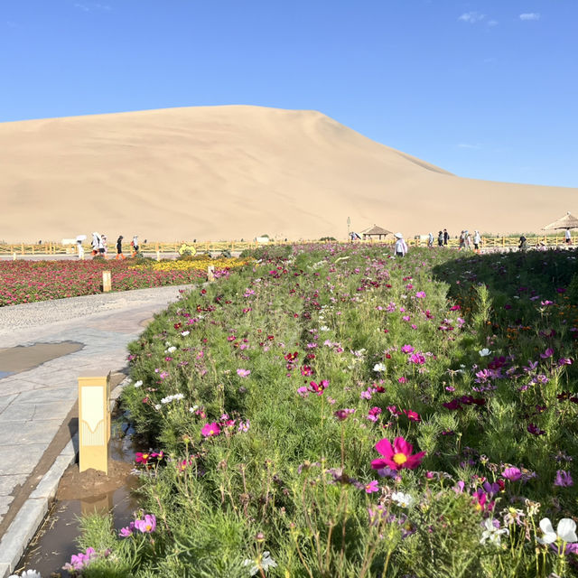 A Desert Park Like No Other 