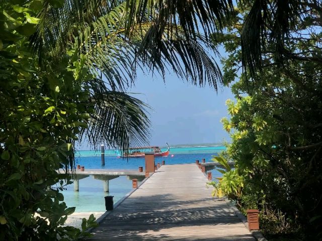 Hideaway Beach Resort & Spa: An Exclusive Sanctuary of Tranquility and Luxury