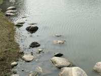 衛武營國家藝術文化中心