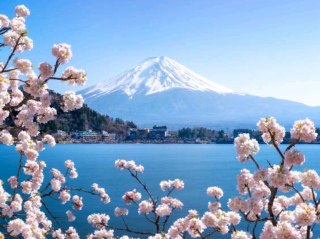 🏔️ 후지산: 일본의 상징적인 산에서 만나는 자연의 경이로움