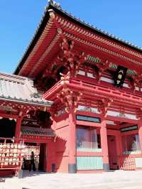 A Beautiful Day in Kamakura