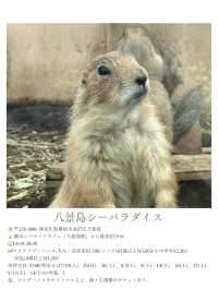 夏休みまだ間に合う！首都圏から日帰りで行ける動物園・水族館