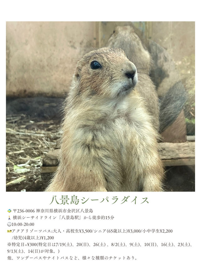夏休みまだ間に合う！首都圏から日帰りで行ける動物園・水族館