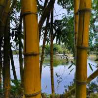 Cyberjaya Lake Gardens