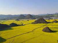 Luoping - Sea of Rapeseed Flowers in Yunnan.