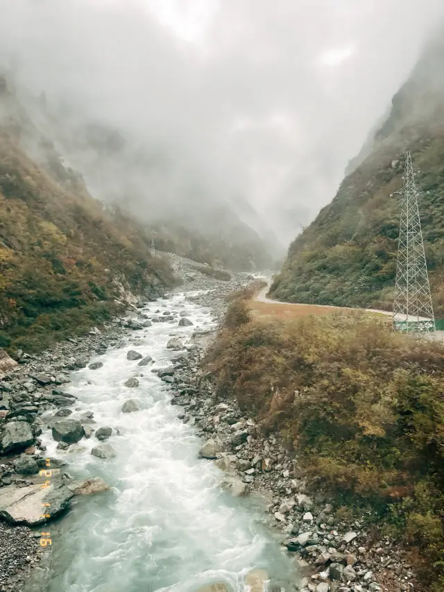 臥龍大熊貓保護區