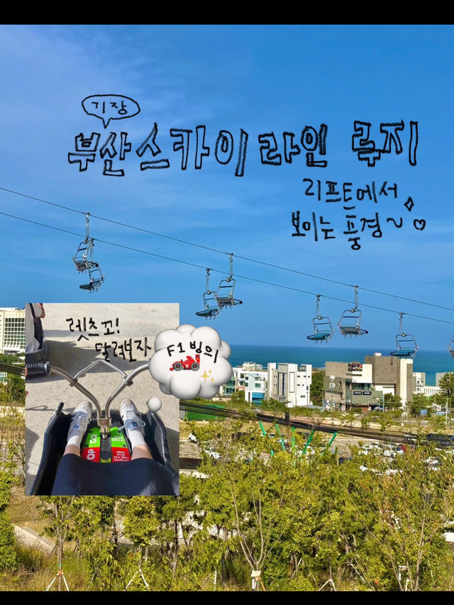 올 여름 더위를 날릴 수 있었던 여행기 #부산💛☀️