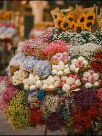🌸 Wandering Blooms in Hanoi 🌸