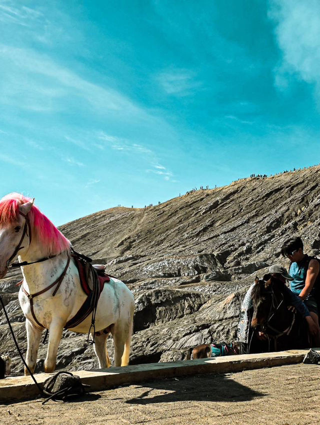 ทริป Bromo - ijen ที่ไม่ค่อยได้นอนแต่วิวตื่นตามาก