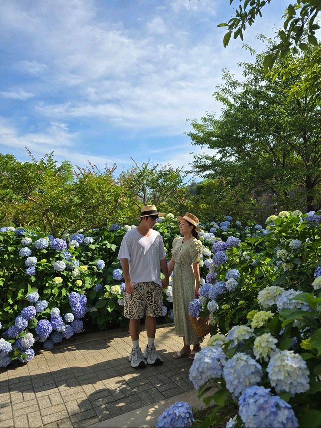 매년 여름 거제도가 더 빛나는 이유💜