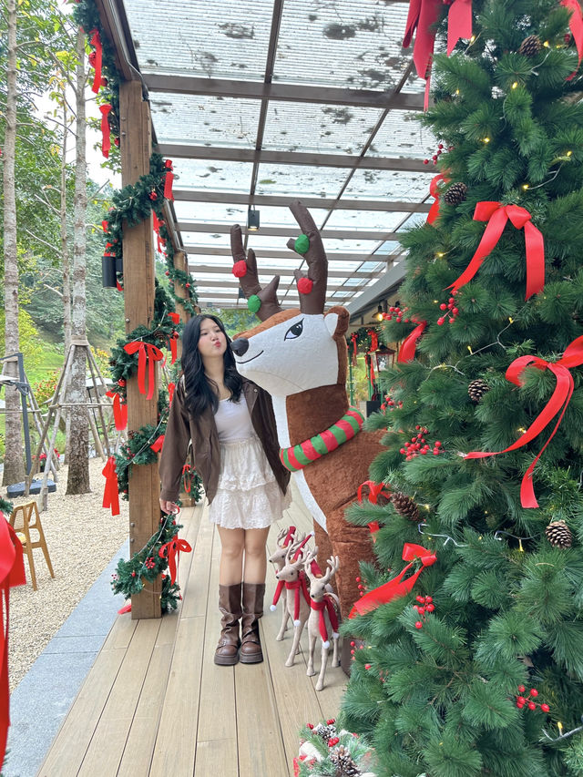 🍃คาเฟ่สไตล์แคมป์มีน้ำตกอลังมาก🤩