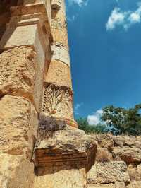 Review – Jerash, Jordan ✨