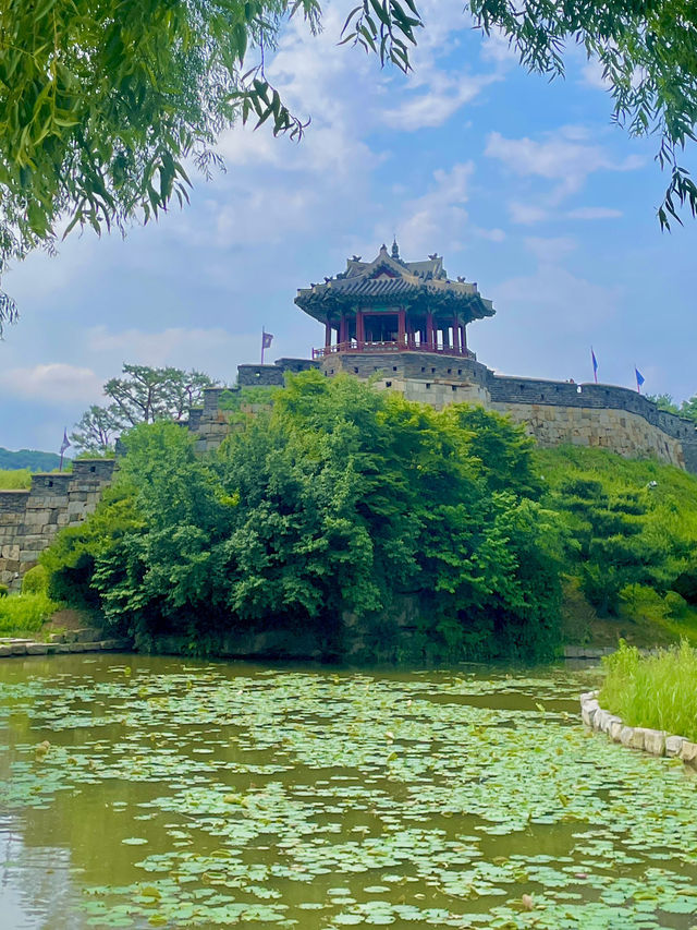🏯 수원, 역사와 감성의 도시 🌿