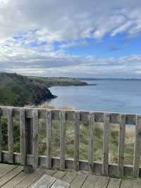 The Nobbies View Point