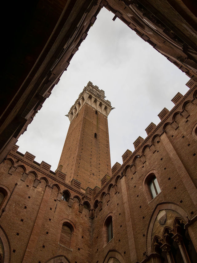 🚗 西恩納（Siena）自駕小旅行