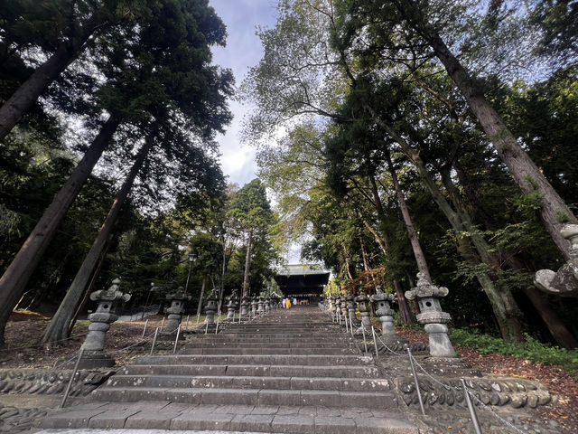 仙台東照宮｜徳川家康を祀る、歴史と桜と絶景の社