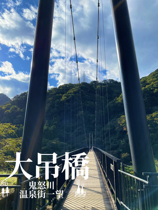 温泉街と鬼怒川を一望できる橋