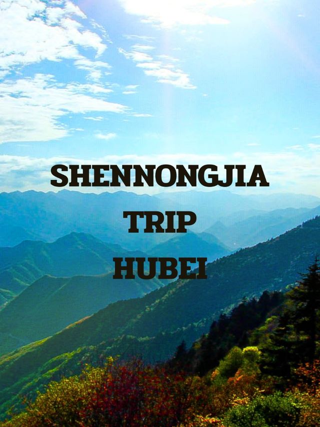 SHENONGJIA TRIP SHENONGJIA TRIP
