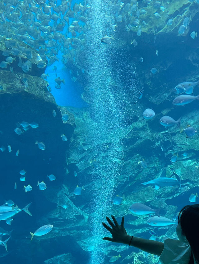 🐠 타오위안에서 만난 바닷속 판타지 여행