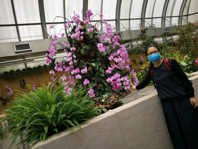 香港城市綠洲賞花之旅🌸香港動植物公園