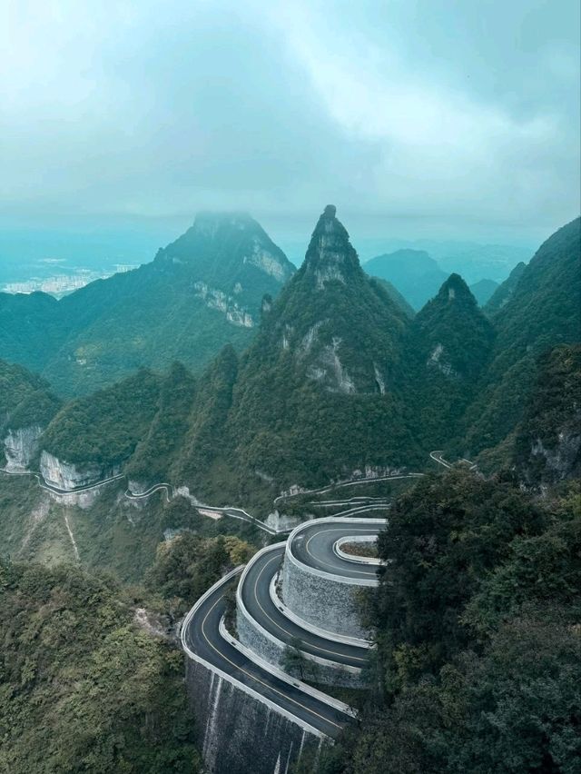 Misty Mountain Thrills⛰️