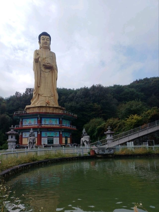 🕊️ 고요 속 위엄, 대형 불상이 인상적인 광양 운암사